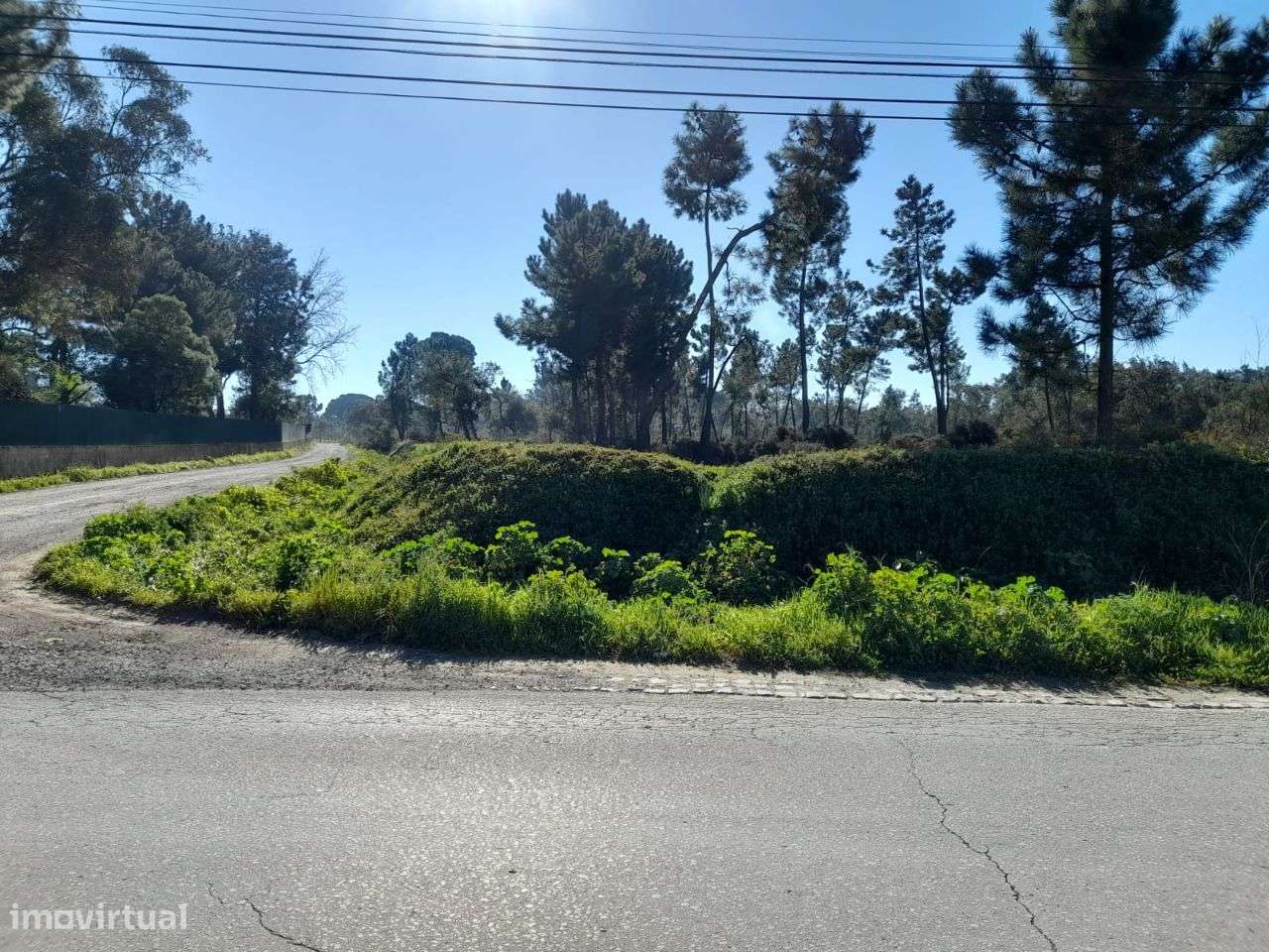 Azeitão Terreno com 10500 M2 de gaveto.-8