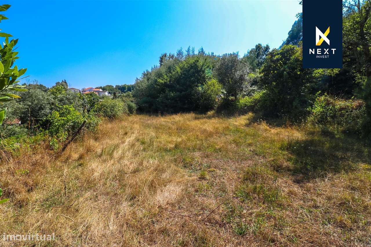 Quintinha com moradia para reconstruir a 10 minutos de Viseu.-9