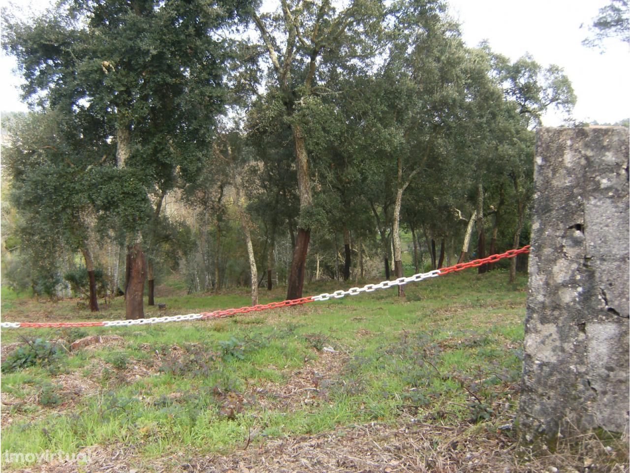 Terreno a 2 Minutos de Ourém