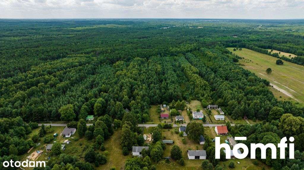 Działka leśna w okolicy puszczy Kozienickiej - Pełny obrazek: 4/8