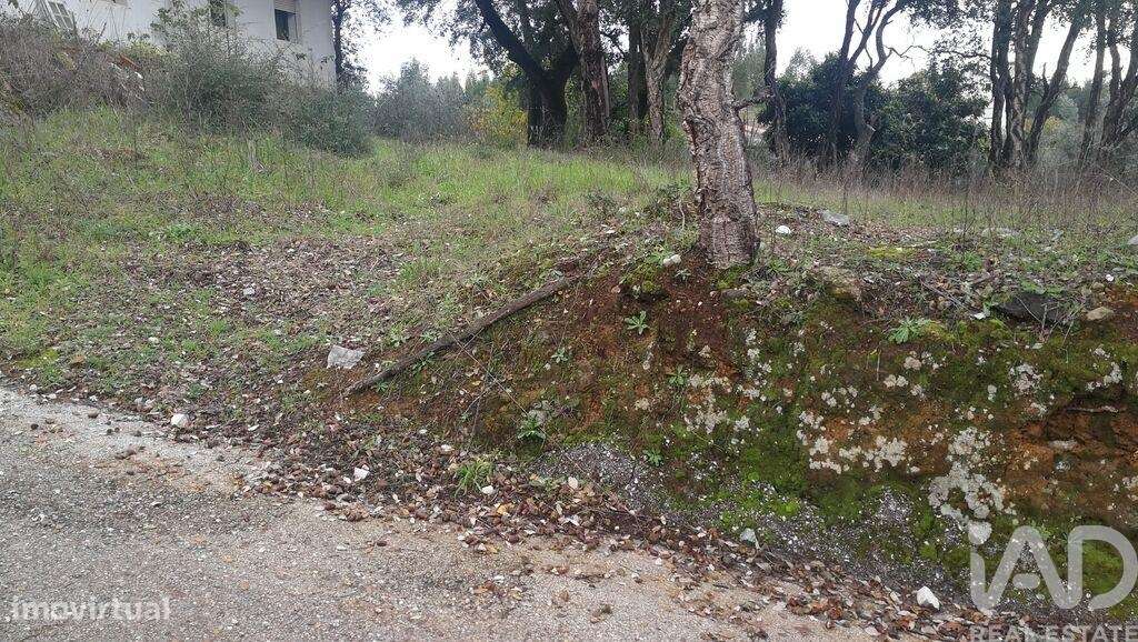 Terreno em Pedrógão Grande de 900,00 m2 - Grande imagem: 4/18