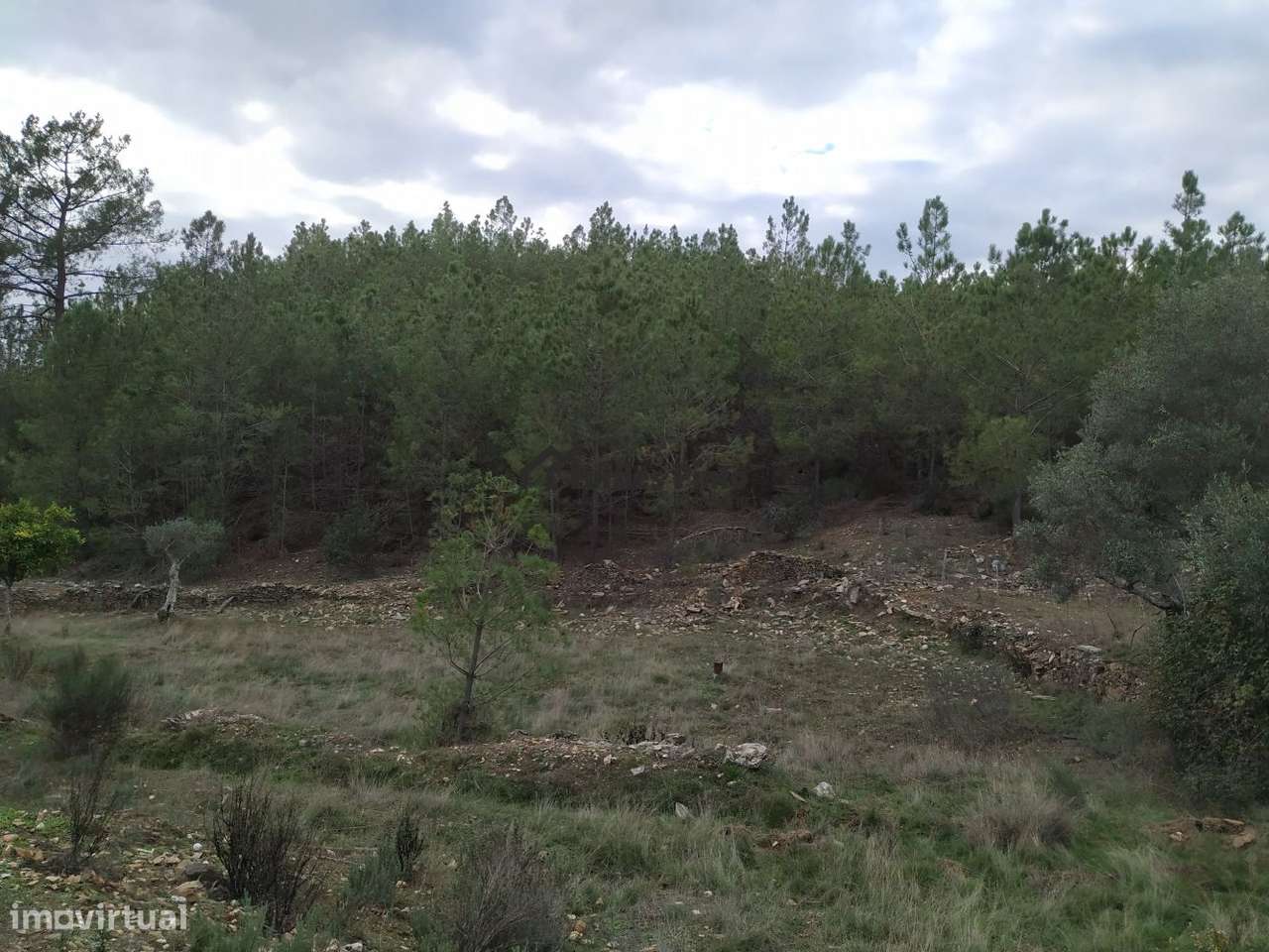 Quinta com muita água - Grande imagem: 3/20