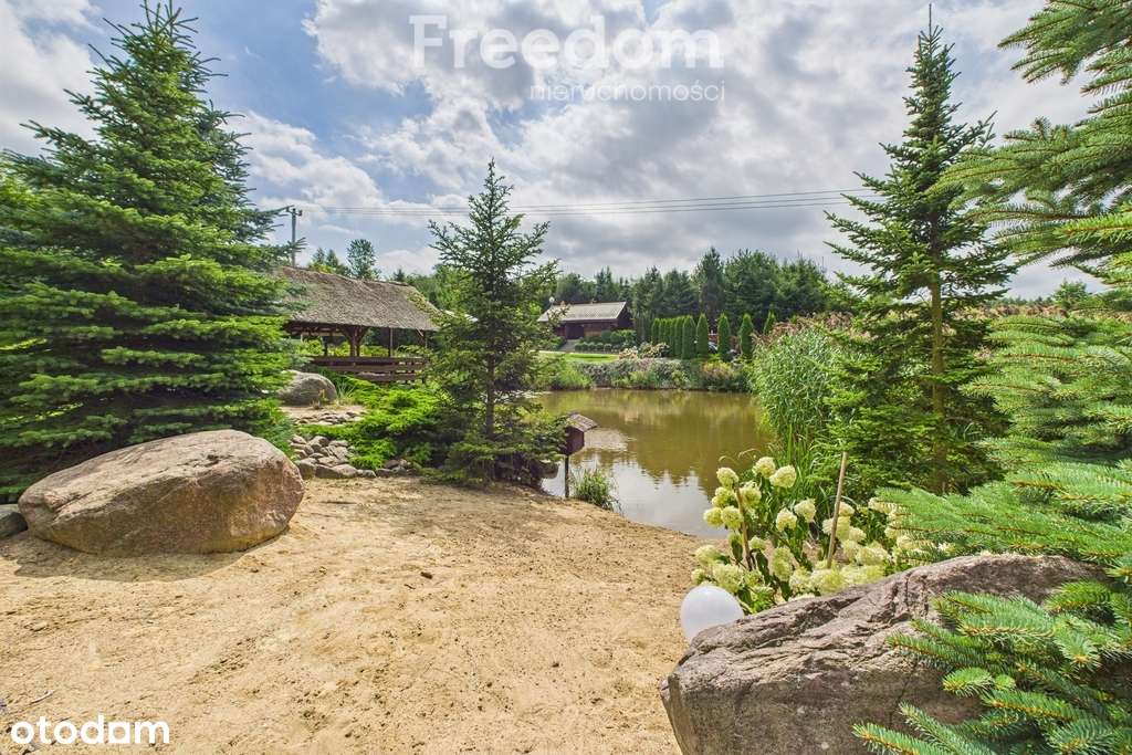 Piękne siedlisko pod Elblągiem. - Pełny obrazek: 4/20