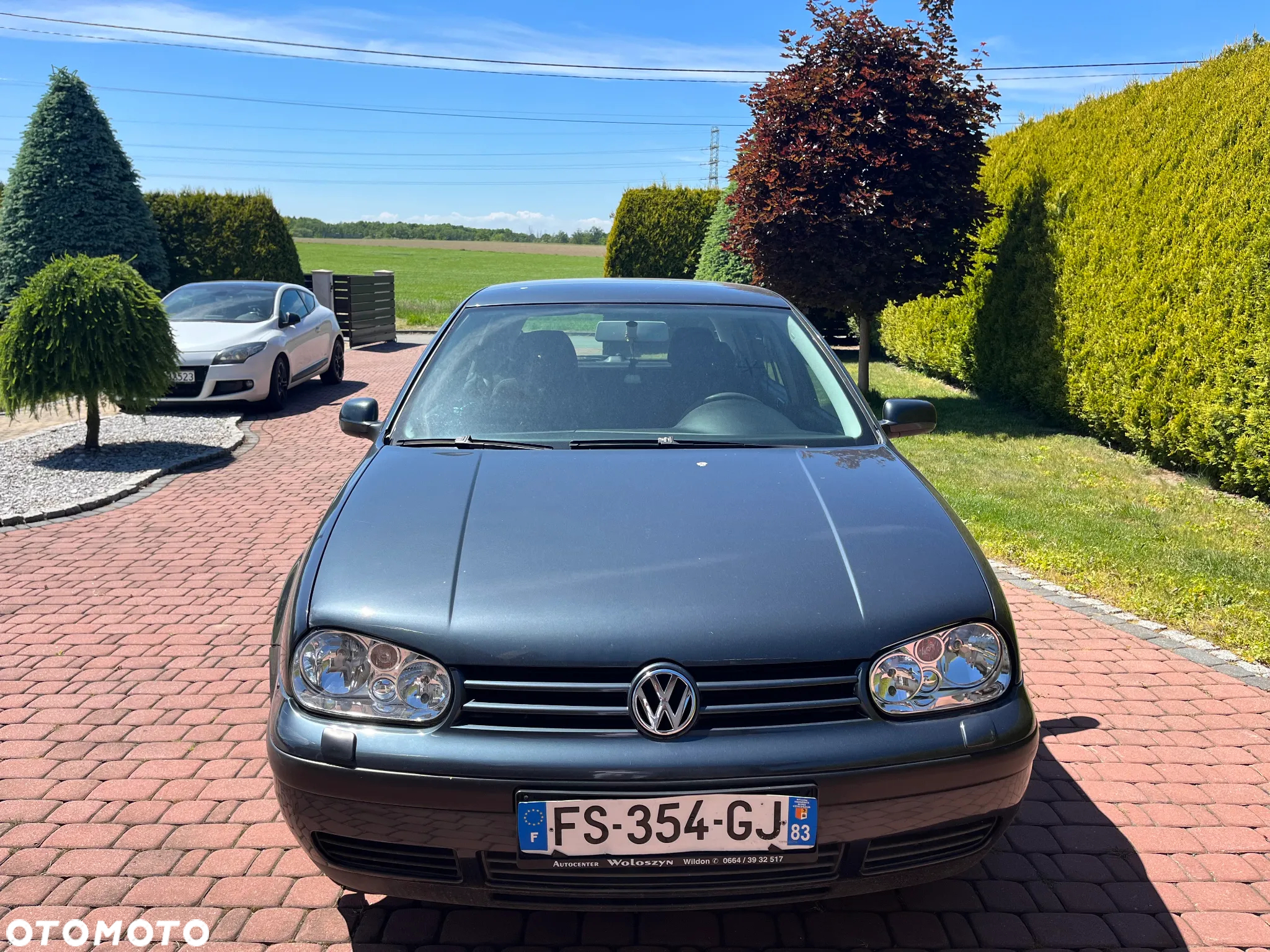 Volkswagen Golf IV 1.4 16V Basis - 2