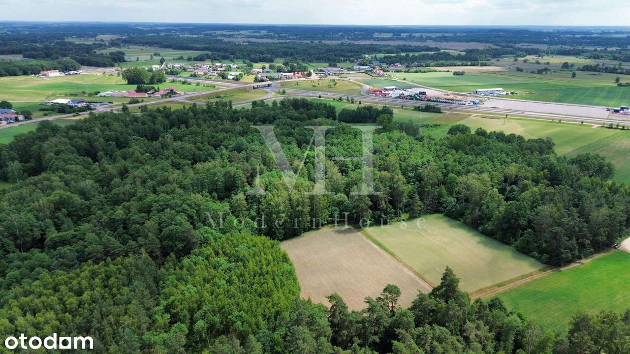 Działka  rolno leśna z warunkami zabudowy obok S8 - Pełny obrazek: 2/6