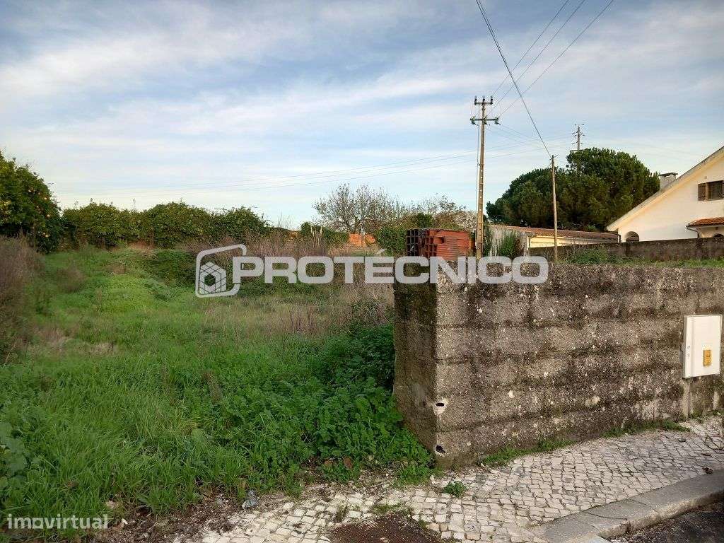 Terreno p/ Moradia Isolada – Aradas - Grande imagem: 2/6