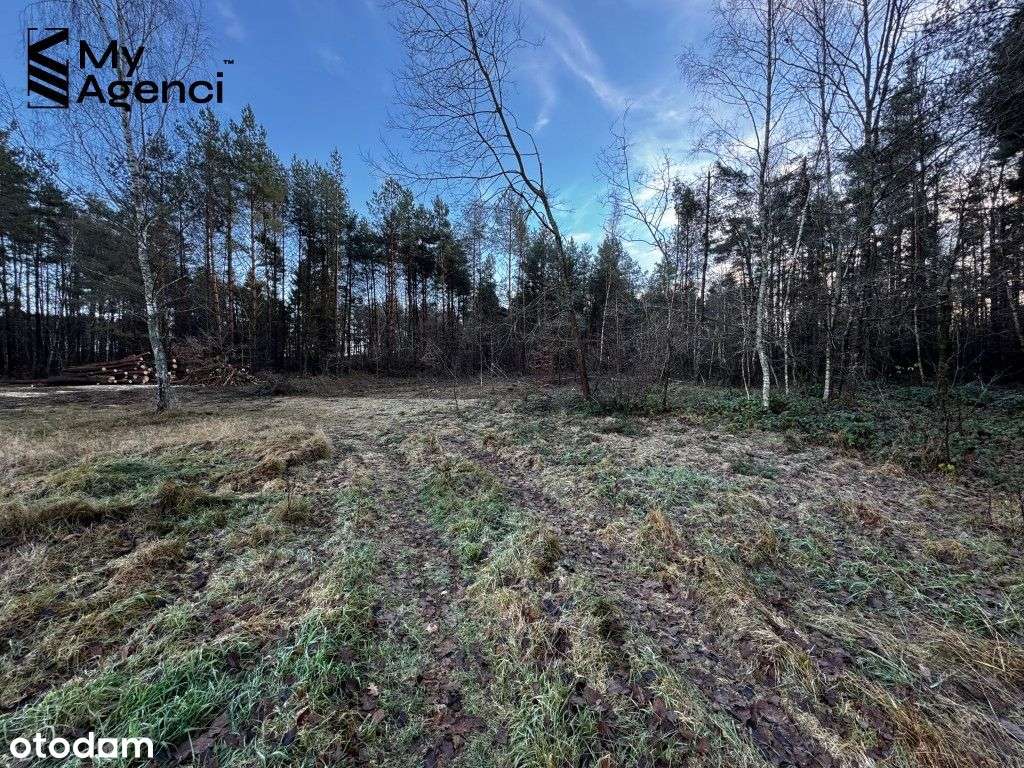 Lewino, ul. Lipowa - działki na sprzedaż-7