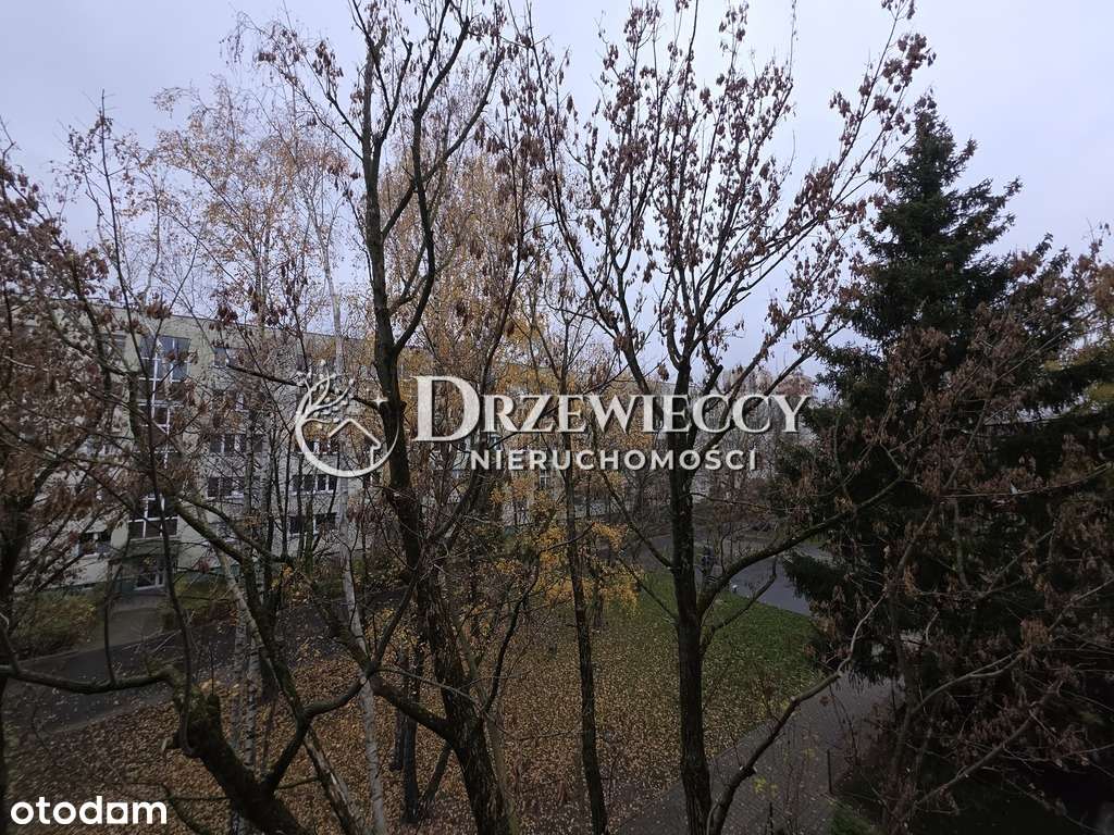 Okazja 4 pokoje oddzielna kuchnia Balkon-6