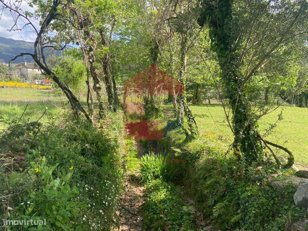 Terreno agrícola, Oriz Santa Marinha - Grande imagem: 4/7