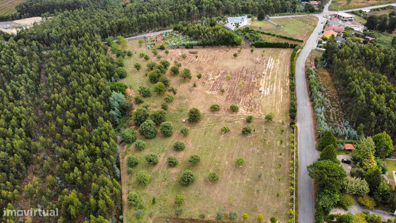 Quinta Exclusiva em Canedo – 21.860 m² de Potencial e Tradição - Grande imagem: 4/17