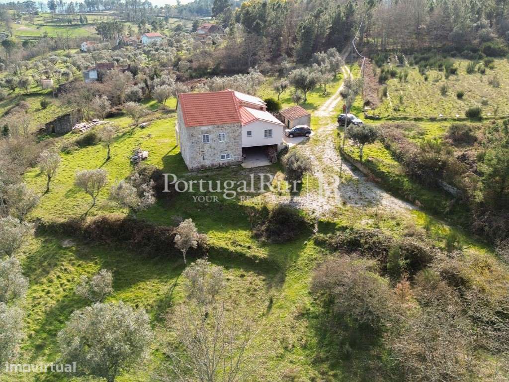 Quinta de 10hectares com Moradia T4 na Beira Alta - Grande imagem: 4/44