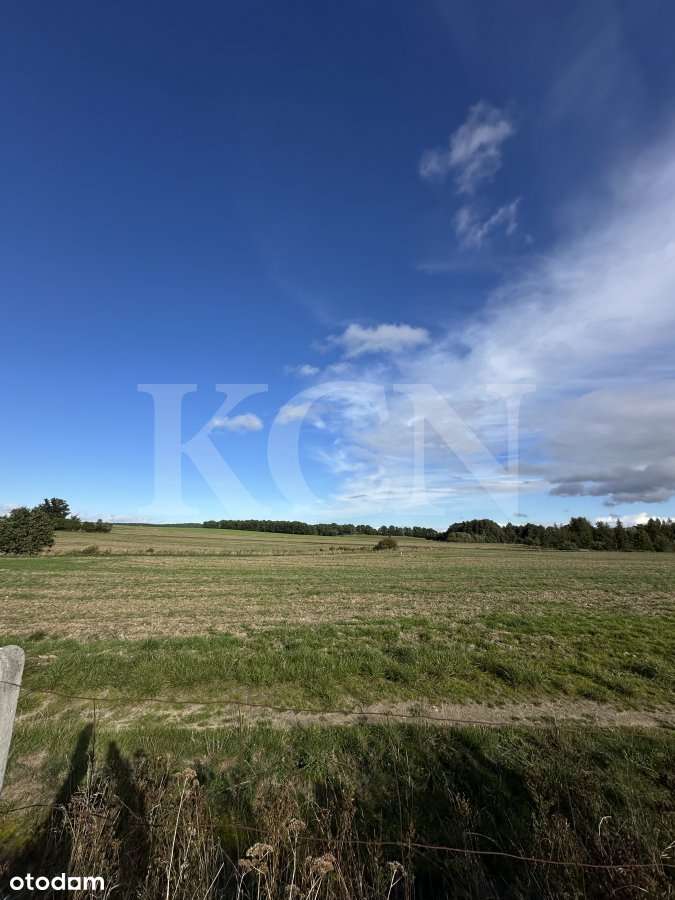 Działka "na odludziu" w miejscowości Dłużec-10