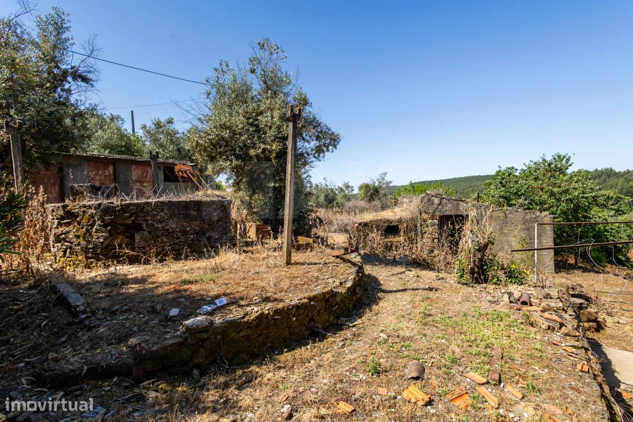 PROPRIEDADE DE CARÁTER NA N2 | 400 m² DE CONSTRUÇÃO, OLIVAL E POTEN...-20
