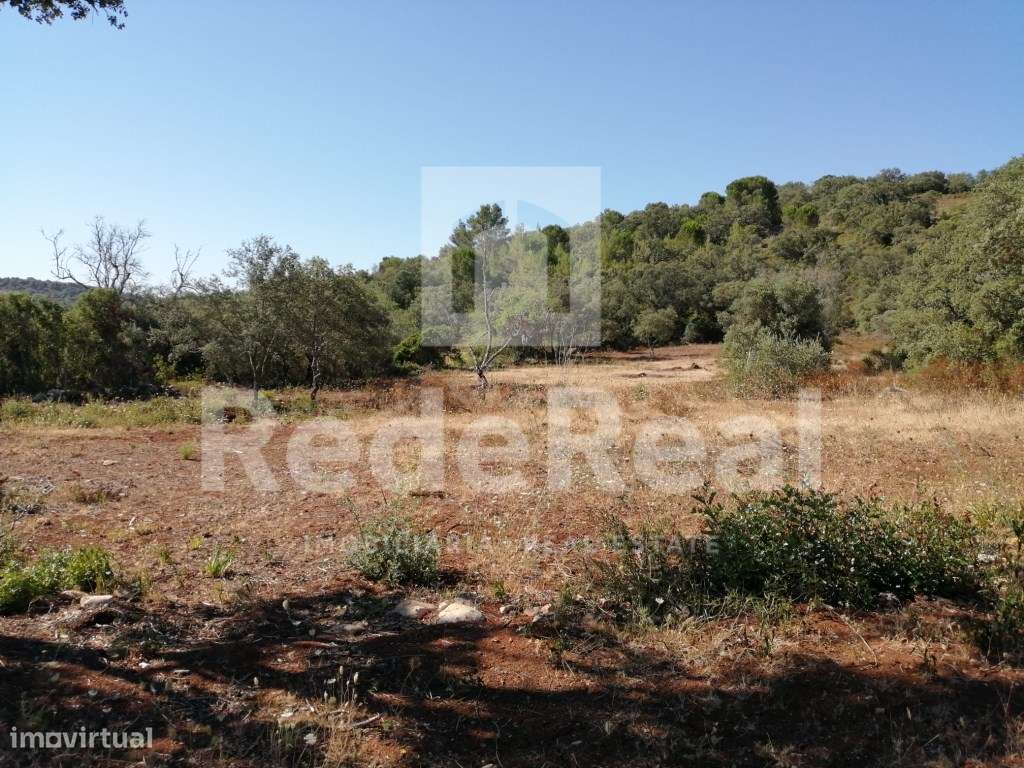 TERRENO RUSTICO EM LOULÉ - Grande imagem: 4/11