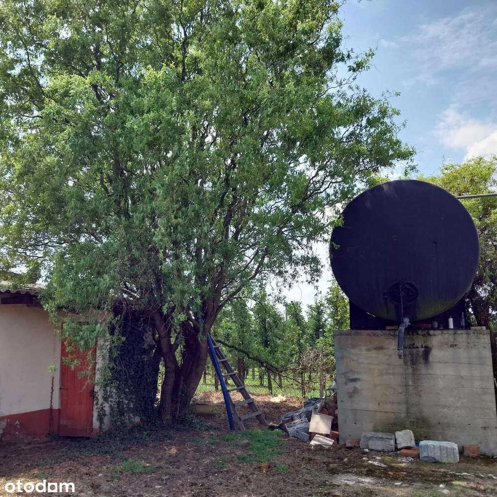 Gotowy biznes-sad-magazyny-chłodnie-biuro-dom / UKR-16