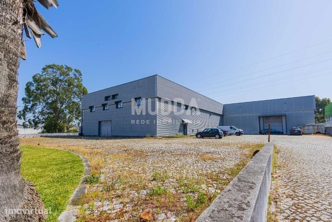 Armazém Industrial de Excelência para Venda – Zona Industrial de Corte-36