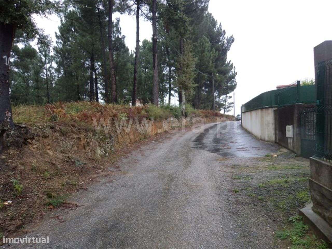 Terreno - Grande imagem: 4/8