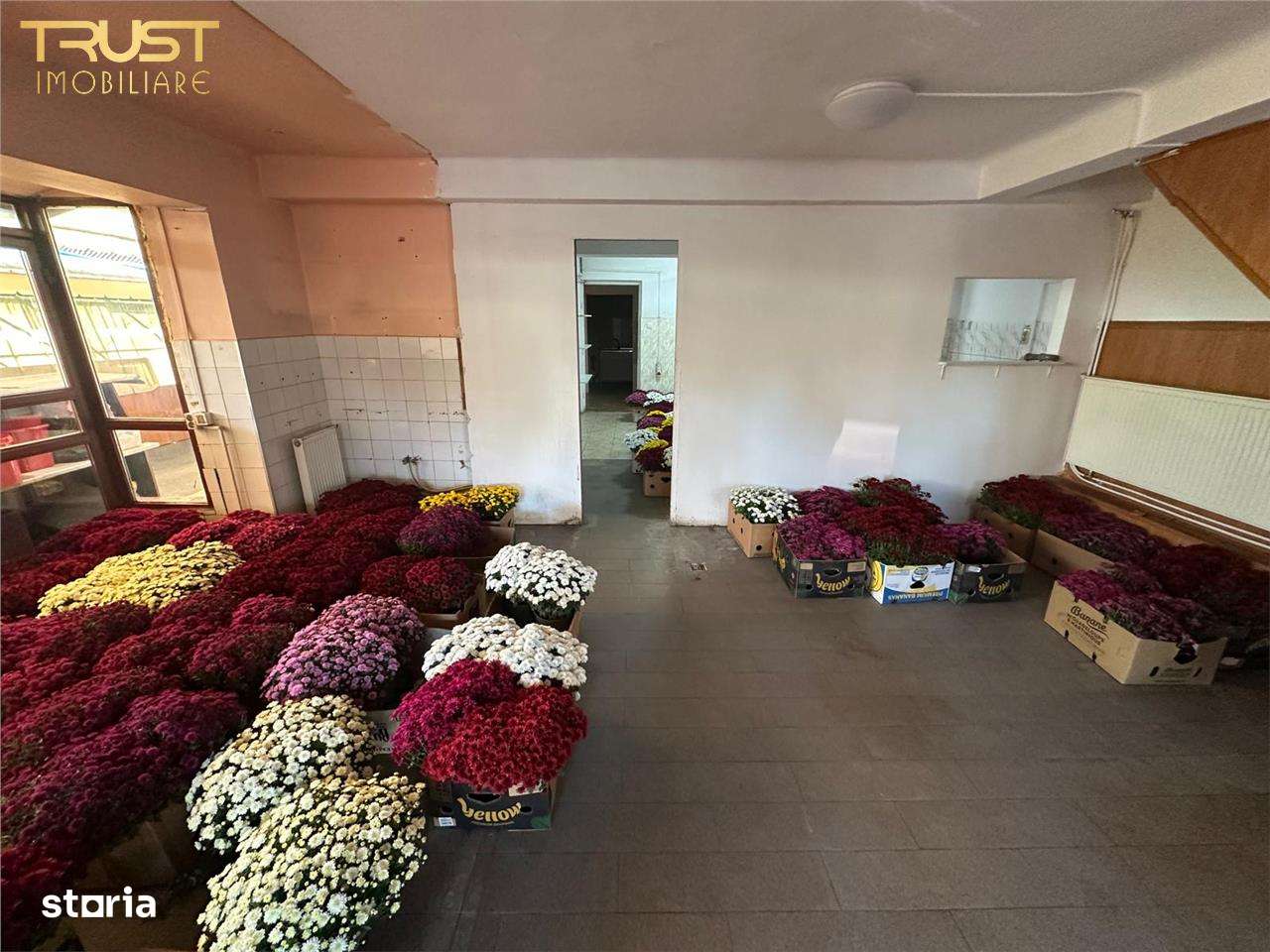 Casa  Spatiu Comercial I Gheorgheni I str. Bistritei - Imagine principală: 5/20