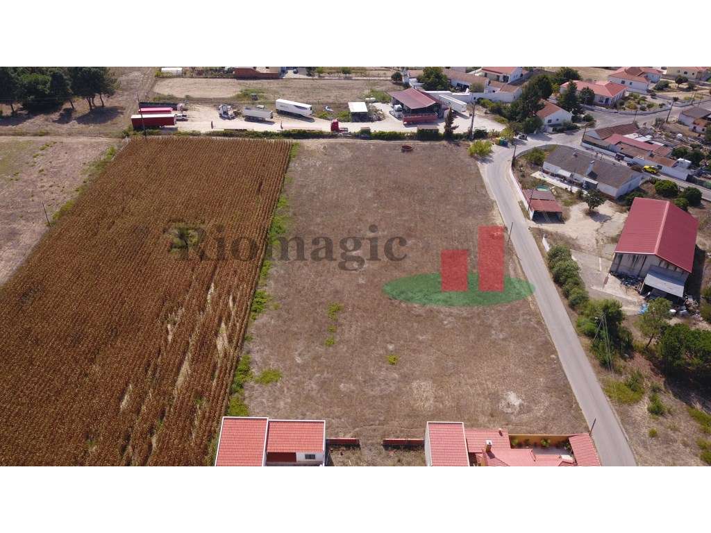 Lote de Terreno Alpiarça ***RIOMAGIC*** - Grande imagem: 5/5