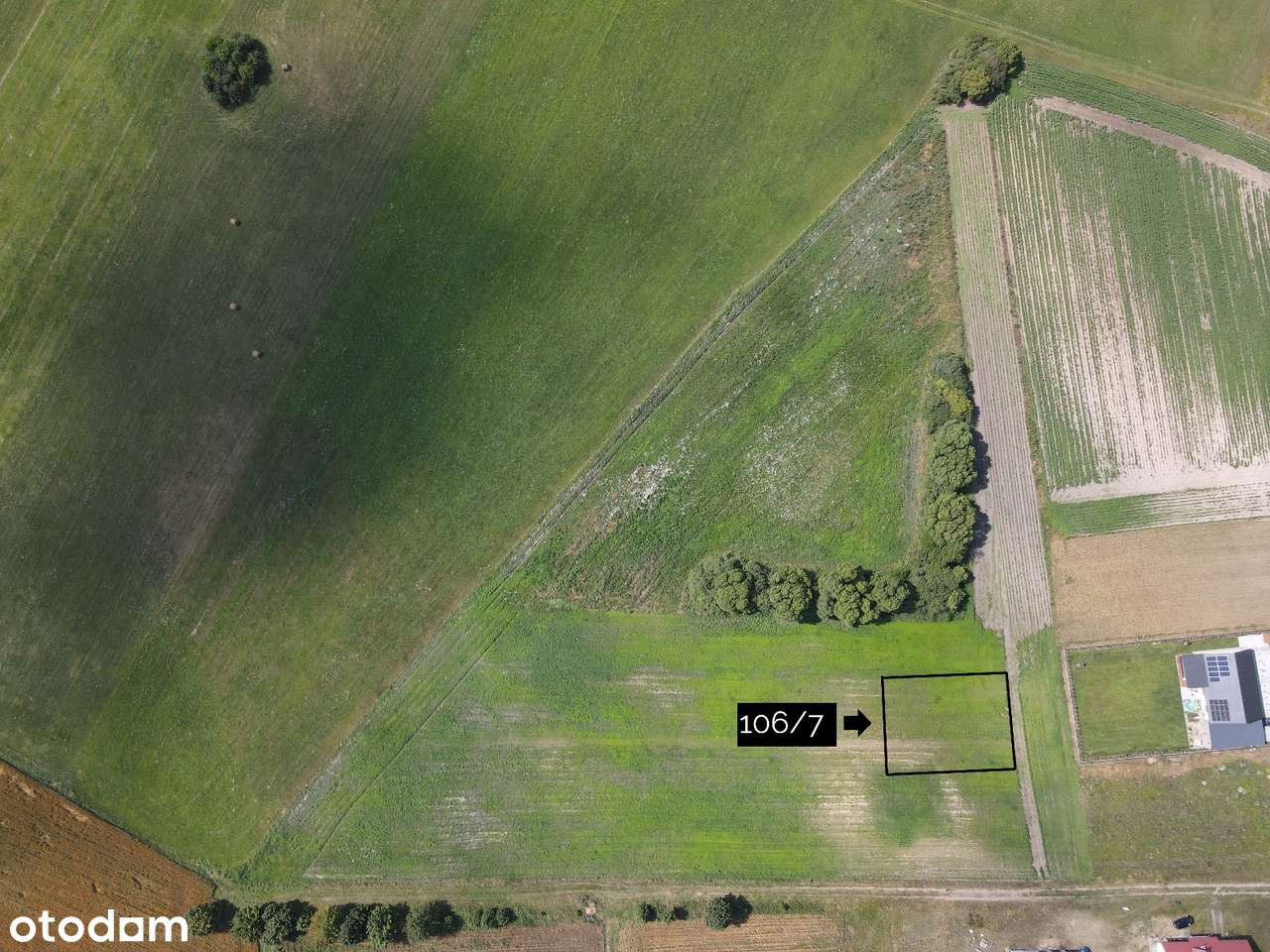 Działka na łonie natury - 2,6 km od Szubina - Pełny obrazek: 4/10