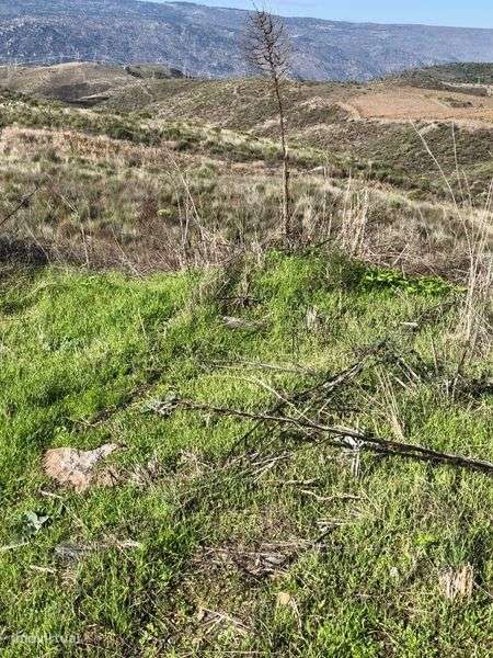 Terreno rústico em Moncorvo - Grande imagem: 4/4