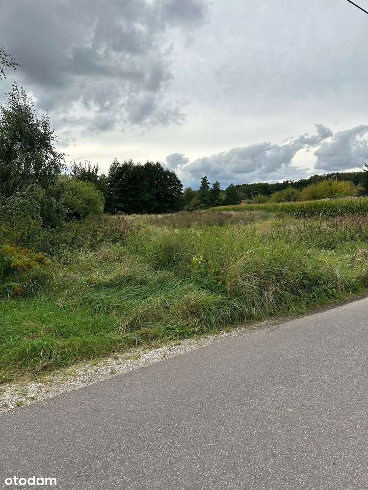 ul. Leśna - Napachanie - Pełny obrazek: 2/2