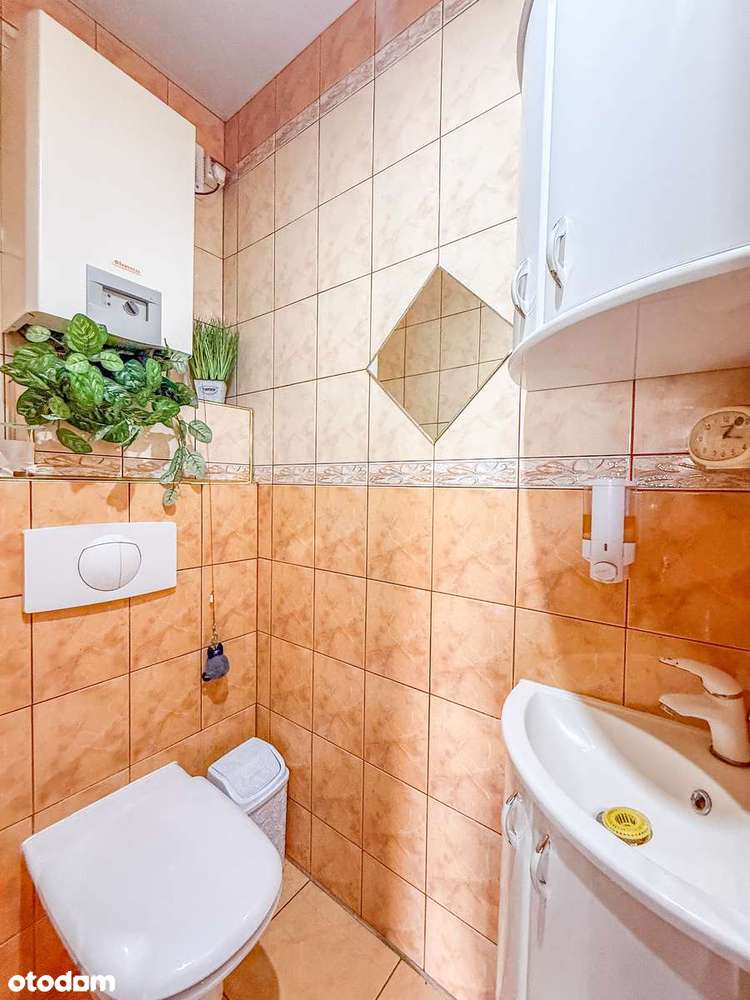 Dom pod działalność i do zamieszkania | garaż z kanałem | OKAZJA-6