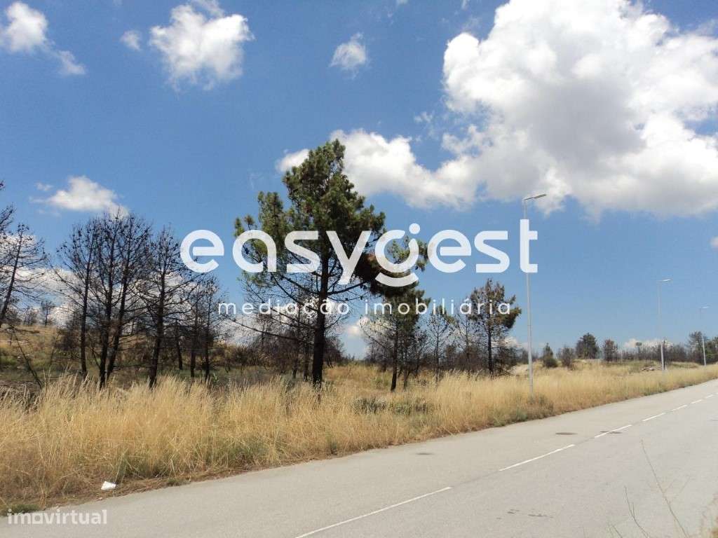 Lotes na Zona Industrial de Alijó - Grande imagem: 2/11