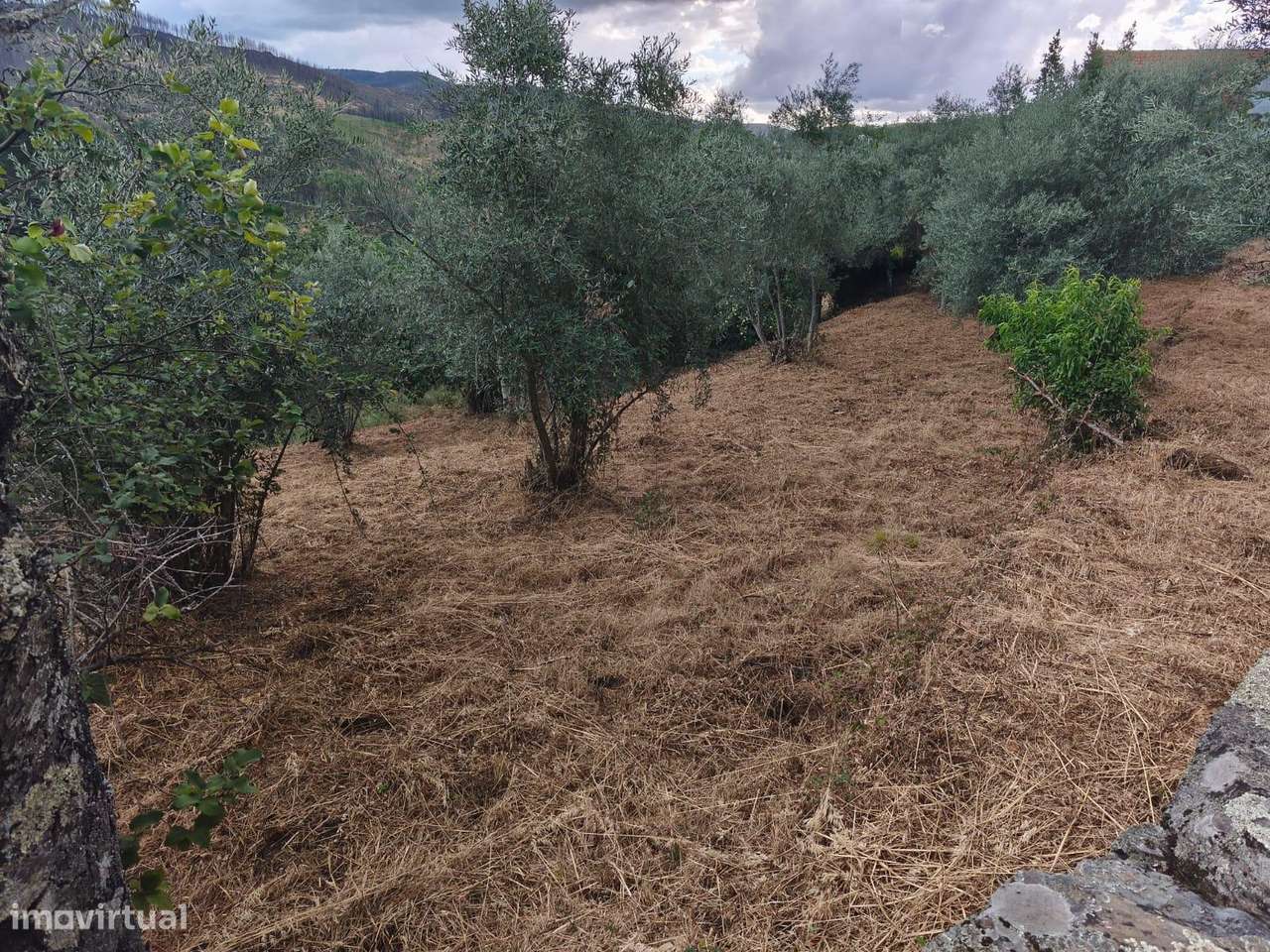 Terreno rustico-6
