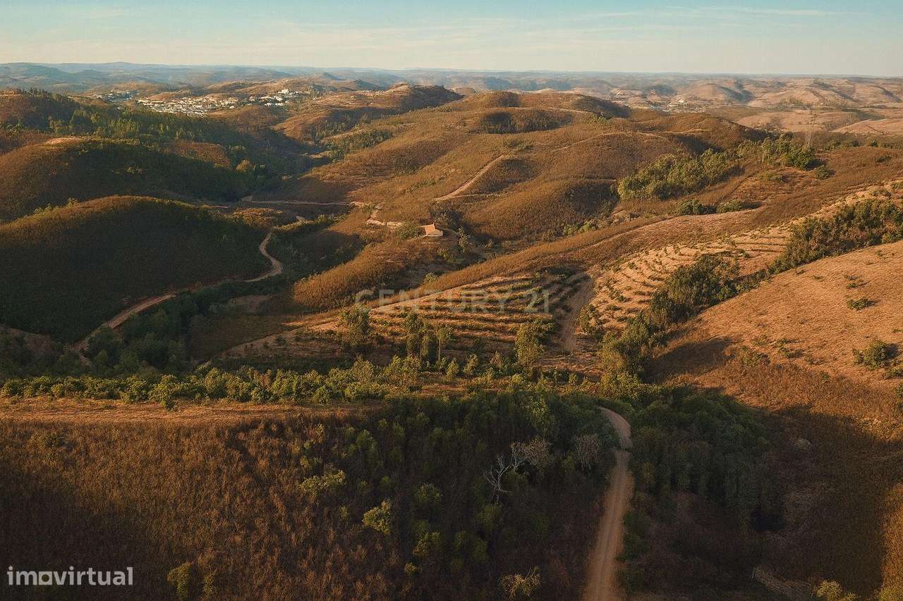 Terreno Agrícola com 8 Hectares — Produção, Água e Natureza em Santana - Grande imagem: 5/15