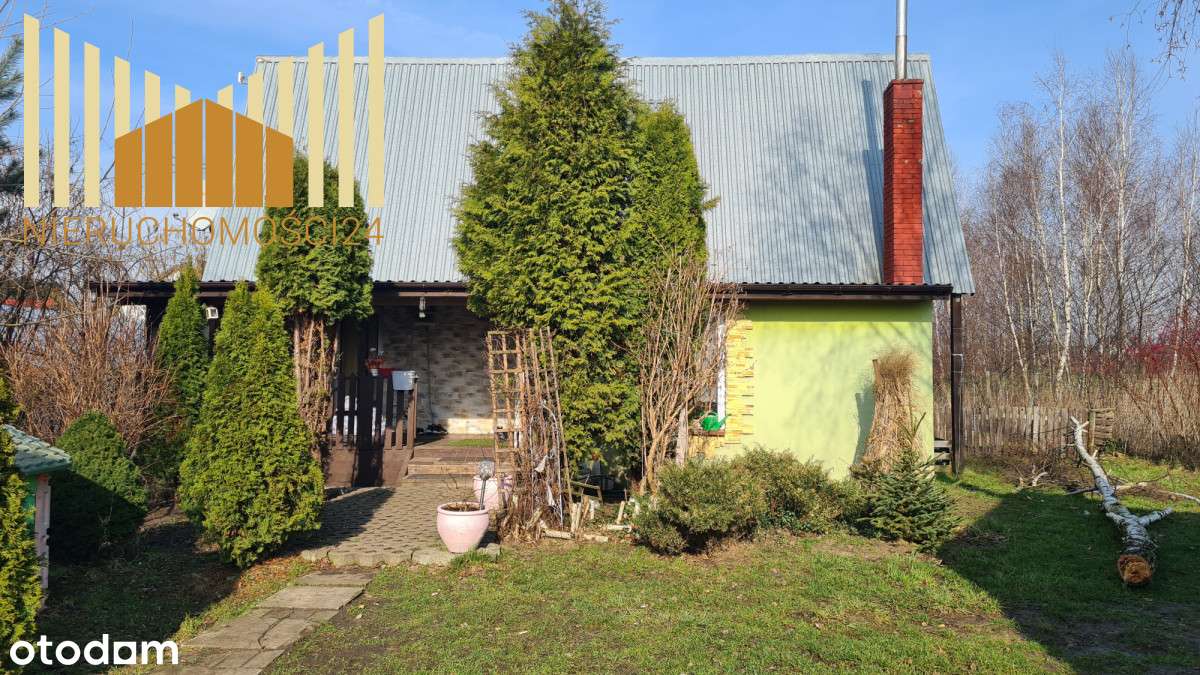 425262 - Pełny obrazek: 2/6