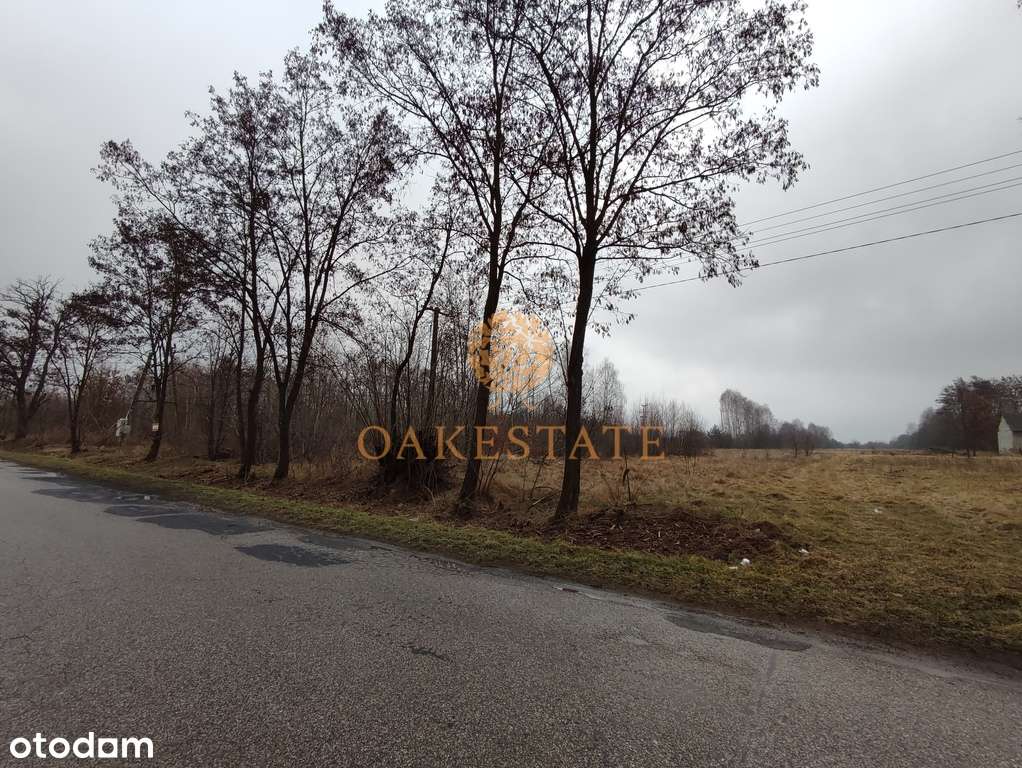 256/9676/OGS - Pełny obrazek: 3/7