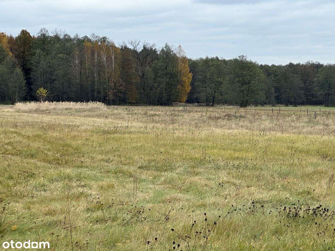 Siedlisko w gminie Brańszczyk - Pełny obrazek: 4/18