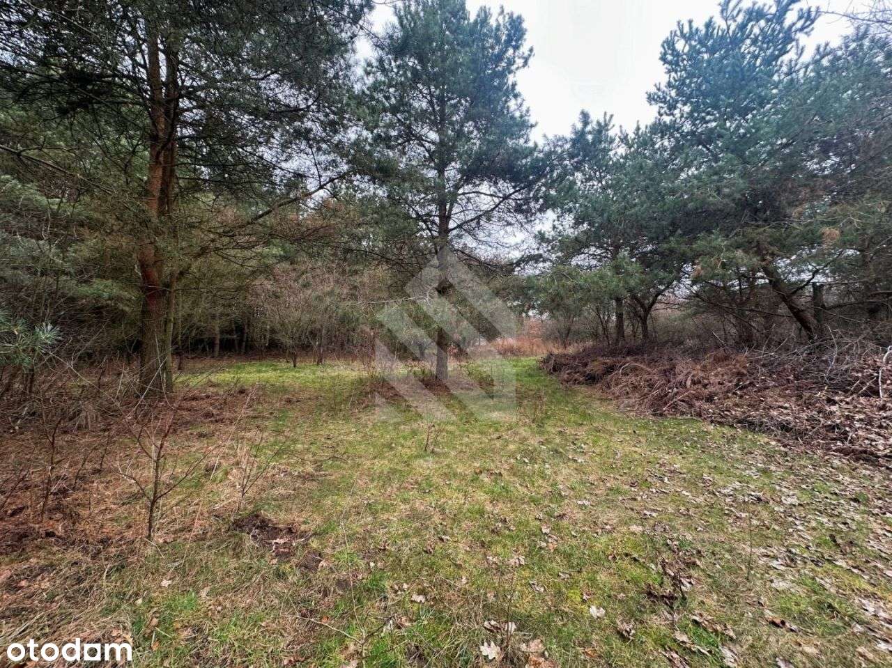 Działka budowlana z linią brzegową Brdy! Piaski! - Pełny obrazek: 4/7