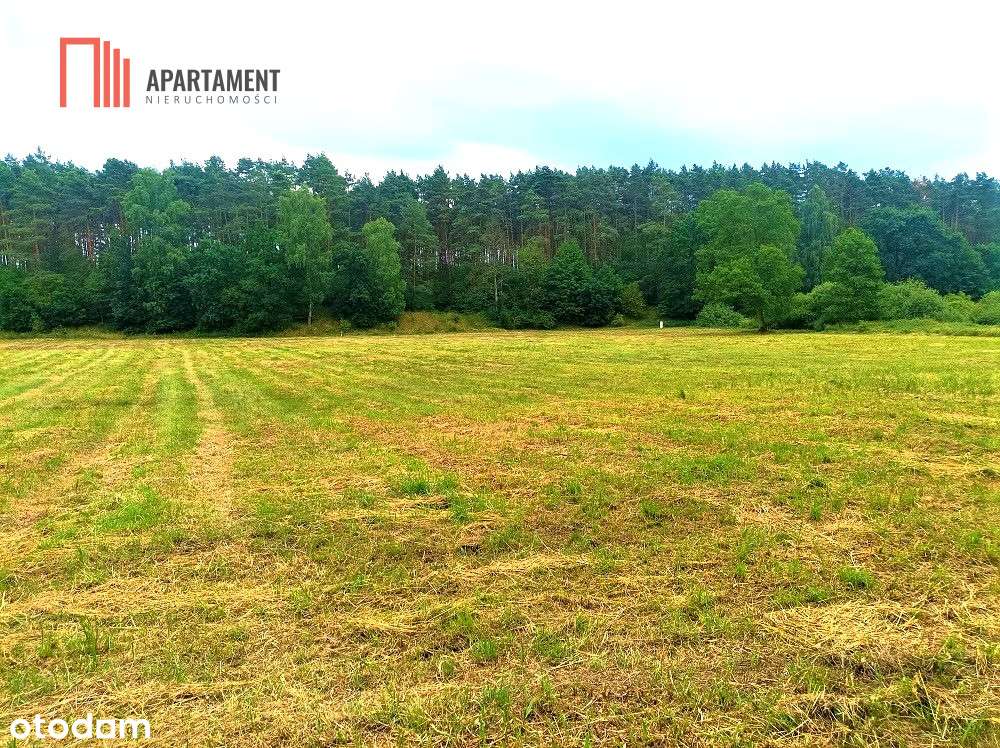 Tylko U Nas - Pawłówek 1,8Ha Las Cisza Spokój - Pełny obrazek: 5/7