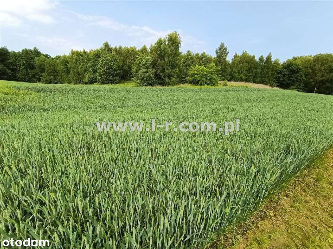 Atrakcyjna Działka W Sąsiedztwie Lasu-6