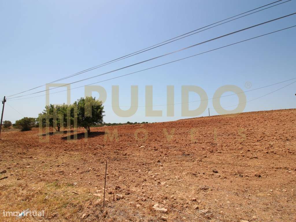 Quinta em Castro Marim a 5km da praia-16