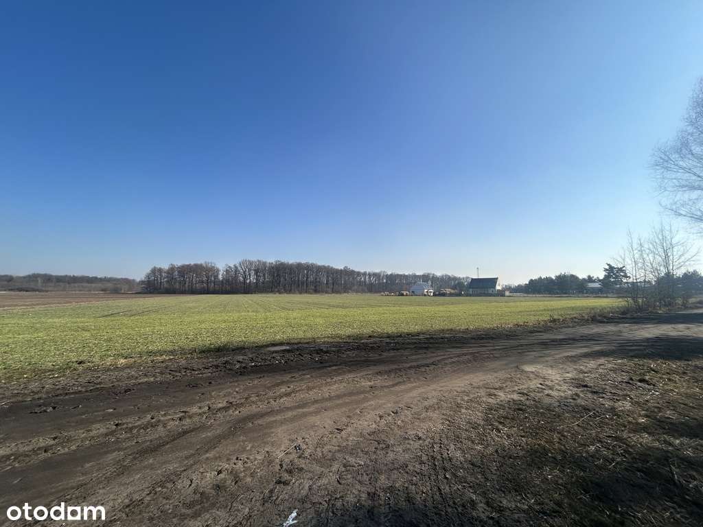 Zamieszkaj w rytmie natury – działka marzeń-10