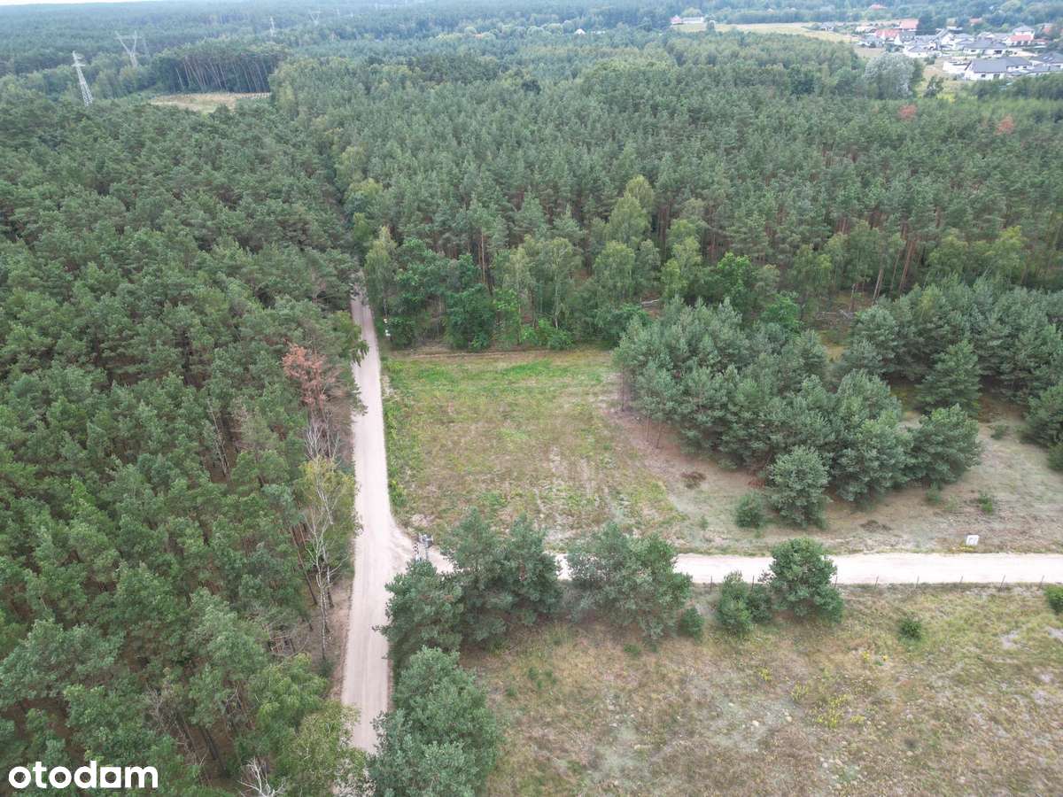 Na sprzedaż działka 1504 m² Niwy, ul. Podhalańska, w otulinie lasu - Pełny obrazek: 5/17