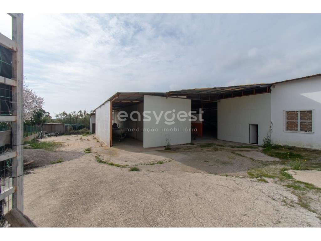 Armazém com 854 m2 em terreno de 1586 m2 em Fundo - Amaro Gonçalves - Grande imagem: 3/13