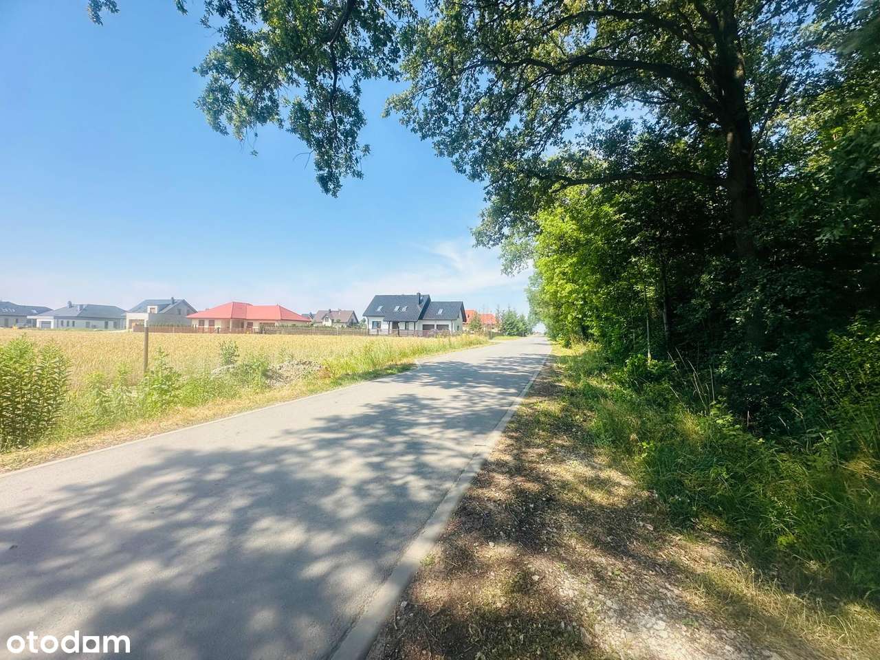 działka budowlana  z mediami pod lasem - Pełny obrazek: 4/12