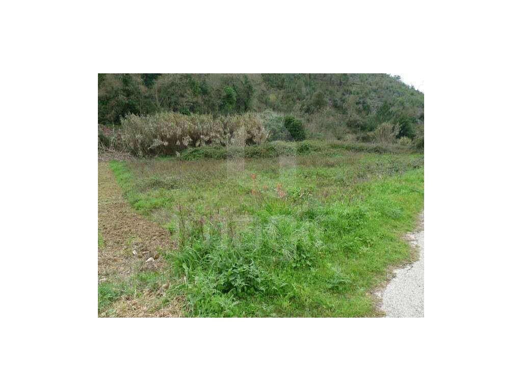 Terreno - Grande imagem: 5/6