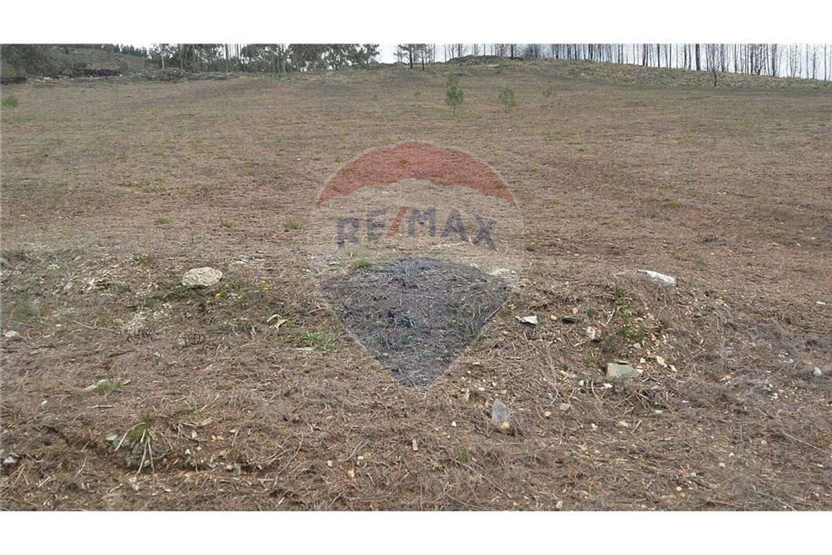 Terreno  para venda - Grande imagem: 4/6