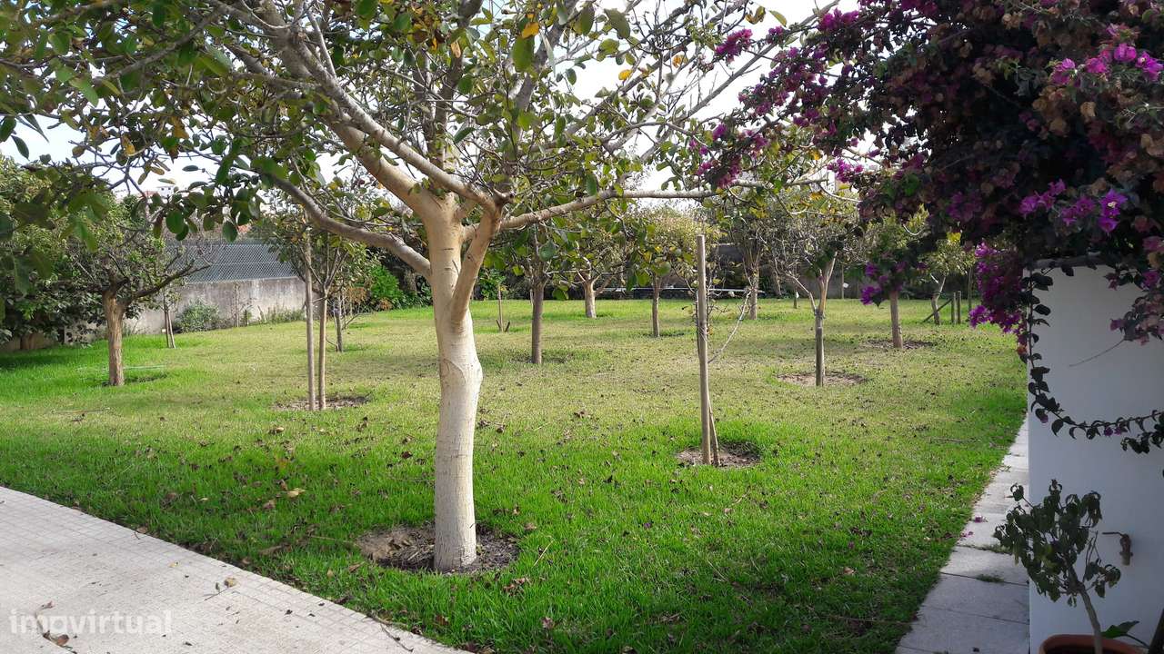 Moradia T3+1 Renovada com Vista Mar em Esmoriz-30