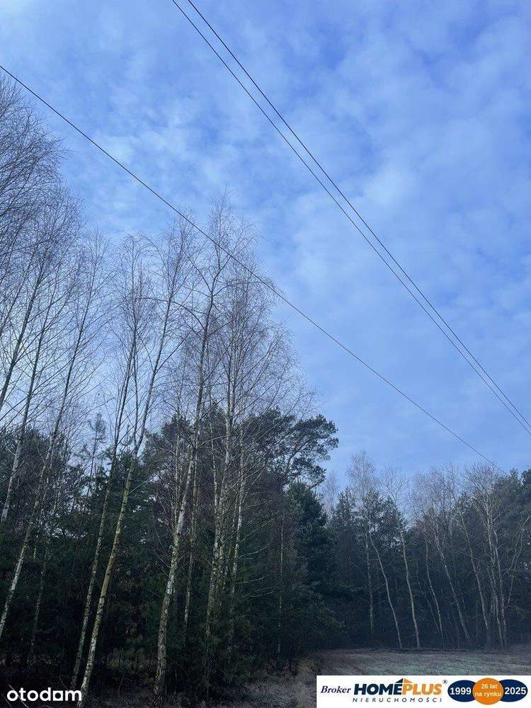 Działka 2050 m² pod zabudowę letniskową. - Pełny obrazek: 5/6