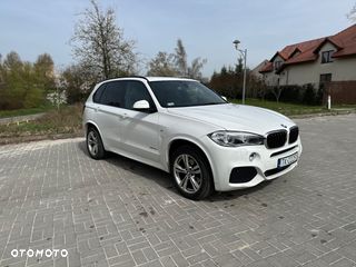 BMW X5 Salon Polska, Drugi Właściciel, M pakiet , 100% bezwypadkowy