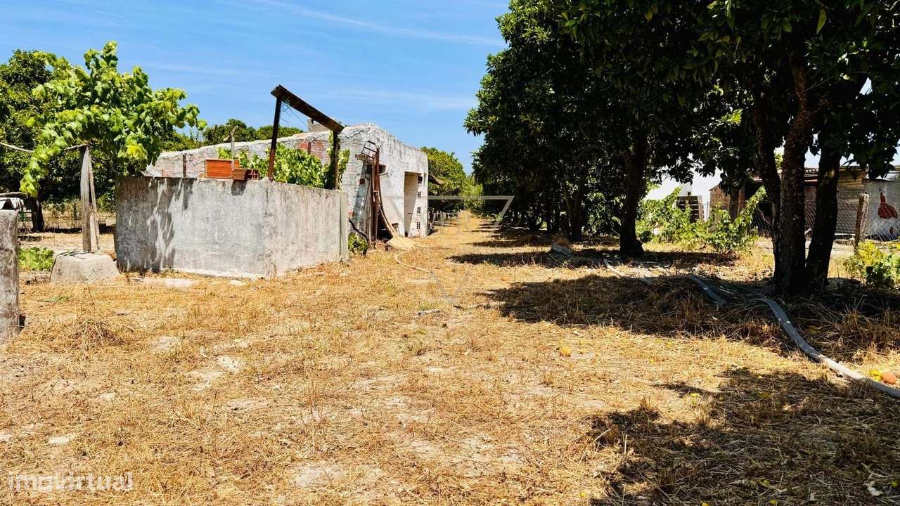 Propriedade exclusiva, com 3124m2 em uma das regiões mais cobiçadas do-24
