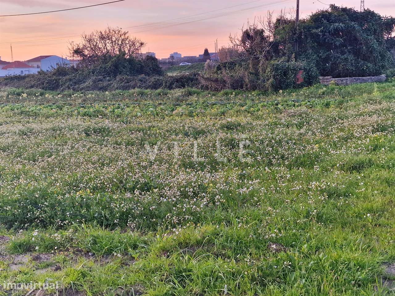 Terreno Urbano para Moradia Isolada á portas da Cidade - Grande imagem: 2/5