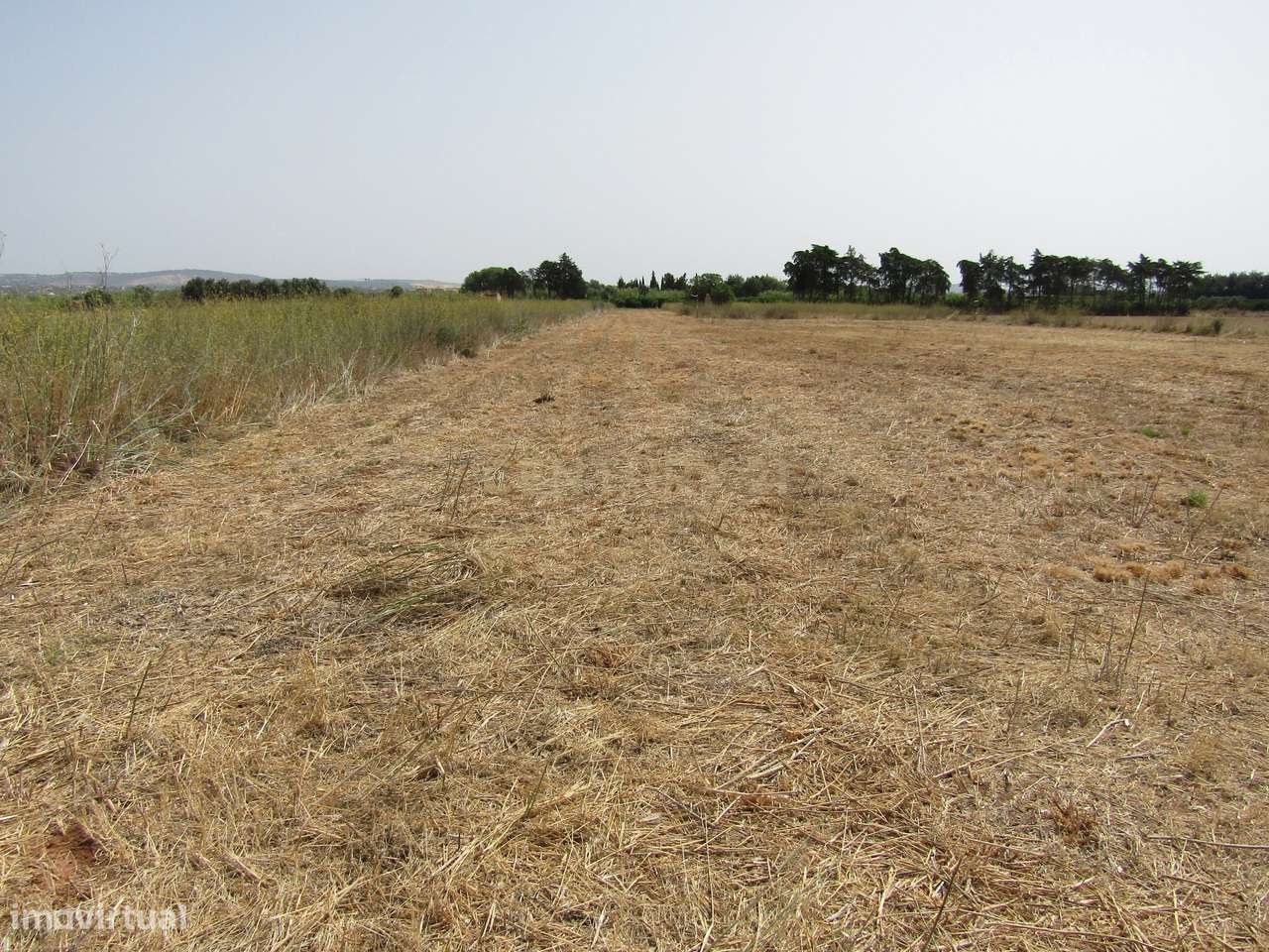 Terreno Rústico - Grande imagem: 1/12