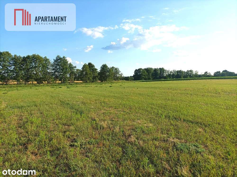 Mochle 1000m2 działka z WZ media - Pełny obrazek: 4/5